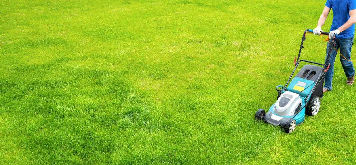 landscaping guy